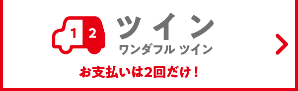 ツイン